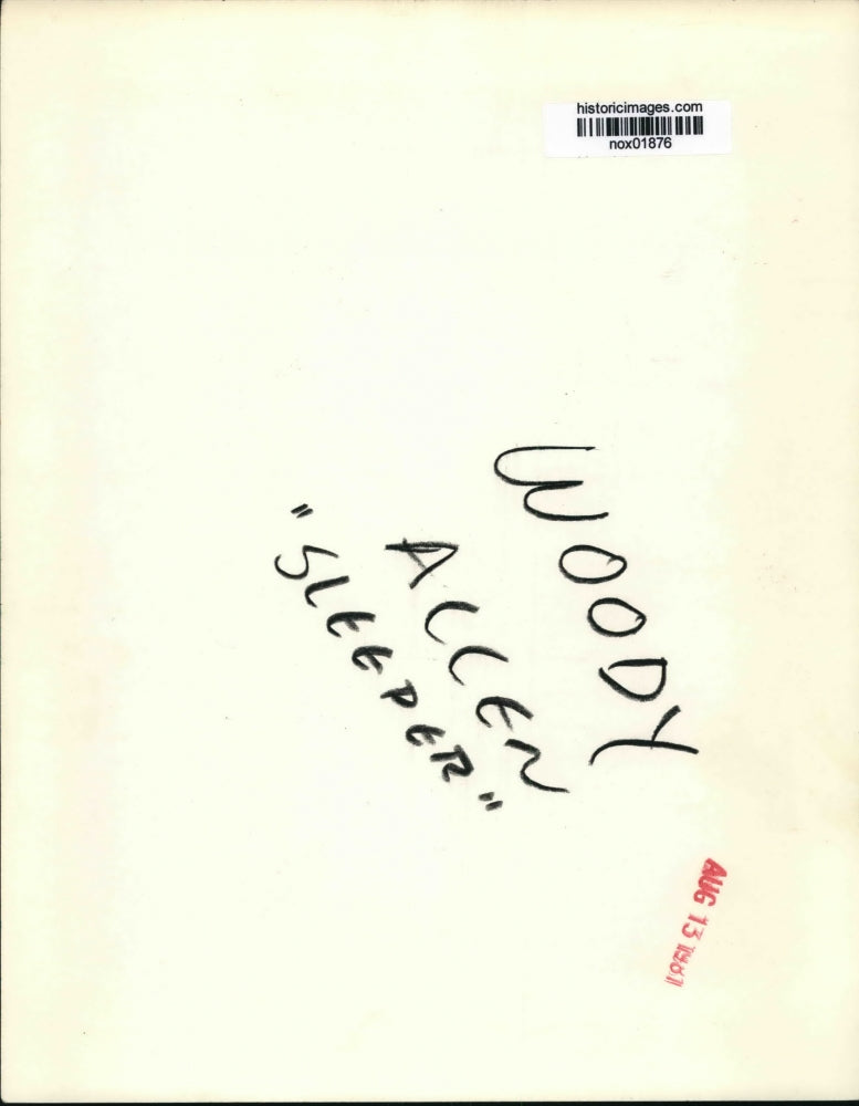 Load image into Gallery viewer, 1973 Press Photo Woody Allen stars in Sleeper. - nox01876

