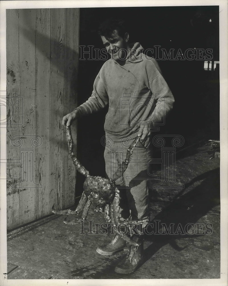 1967 Press Photo Sherman Savor, tugboat crewman, holds Alaskan king crab