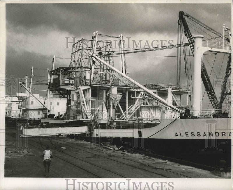 Load image into Gallery viewer, 1968 Press Photo The S.S. Allessandra - nox02320
