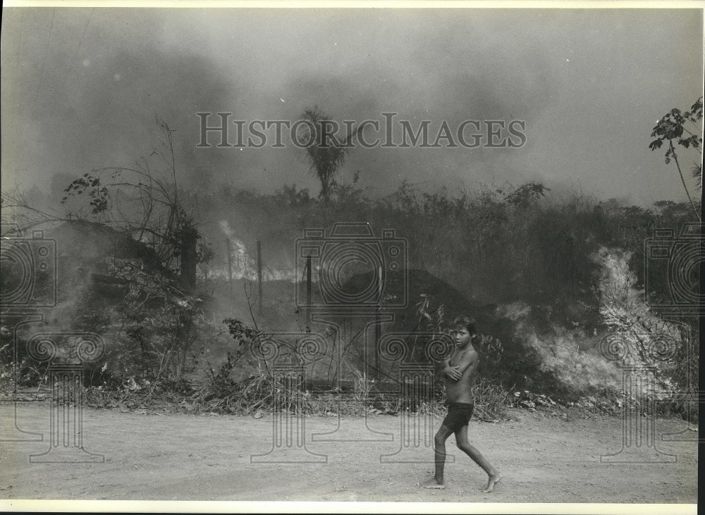 1988 Press Photo Young Brazilian boy passes burning rainforest in the Amazon.