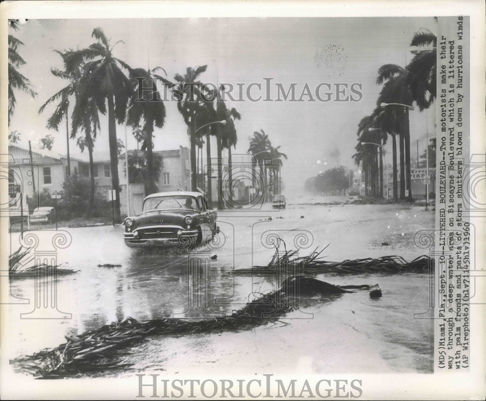 1960 Press Photo Motorists make their way through flooding Biscayne Boulevard.