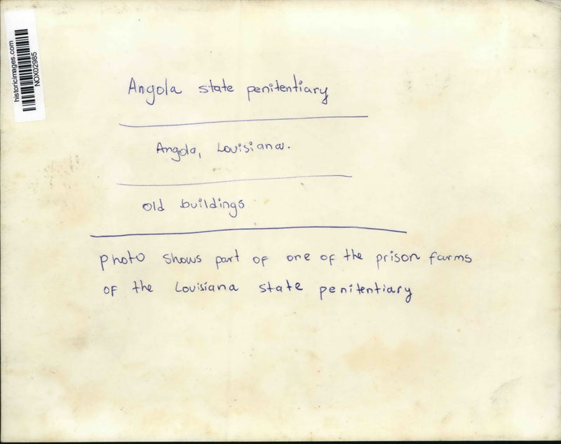Load image into Gallery viewer, Press Photo Part of one of the prison farms at Angola State Penitentiary.
