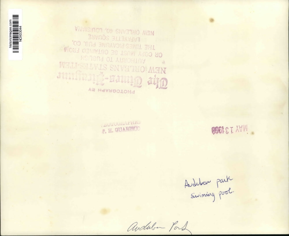 1968 Press Photo View of the Audubon Park swimming pool. - nox03044