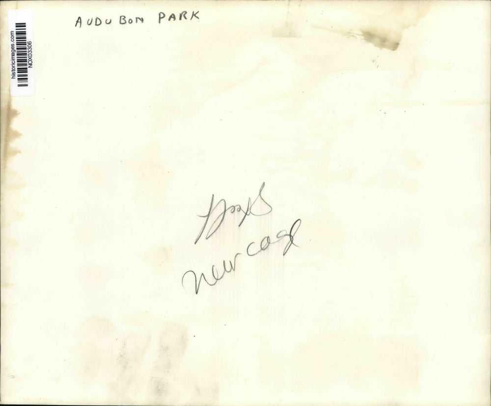 Press Photo View of Audubon Park in New Orleans, Louisiana. - nox03306