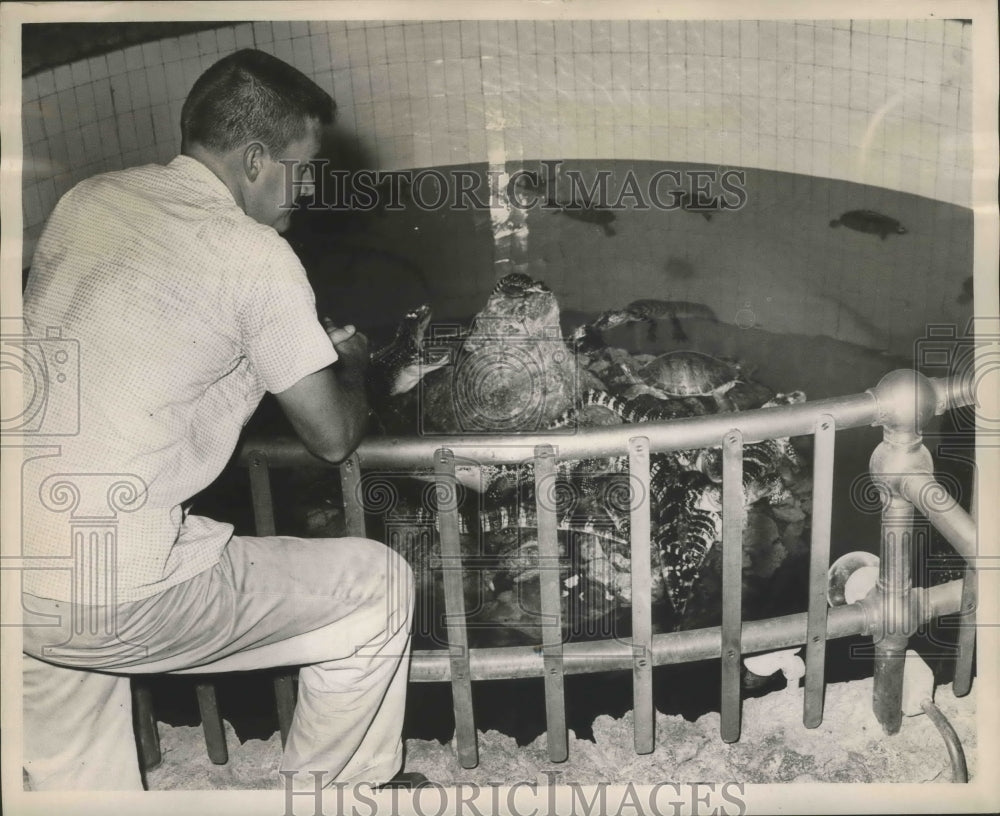 1961 Press Photo Audubon Park Odenheimer aquarium alligators and gars