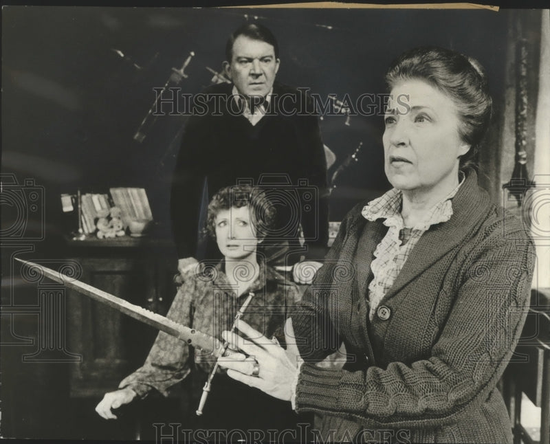 Load image into Gallery viewer, 1980 Press Photo Marian Baer stars in Deathtrap. - nox04311

