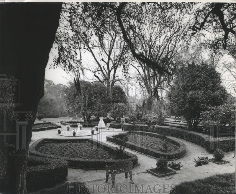 Load image into Gallery viewer, 1974 Press Photo Afton Villa Gardens at Audubon Park - nox05028
