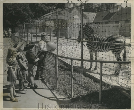1953 Press Photo Children visit with Zebra at Audubon Park Zoo - nox05312
