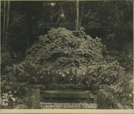 Press Photo Bellingrath Gardens - nox05442