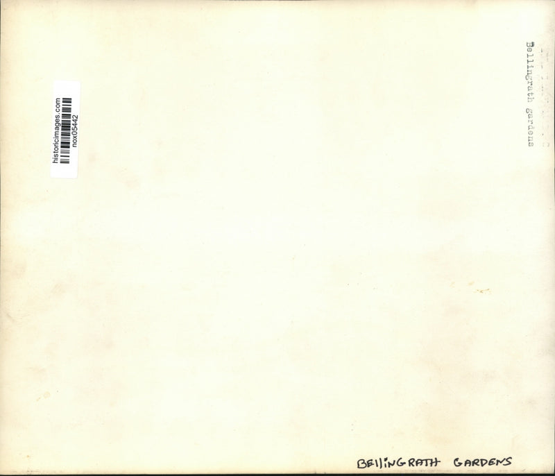 Load image into Gallery viewer, Press Photo Bellingrath Gardens - nox05442
