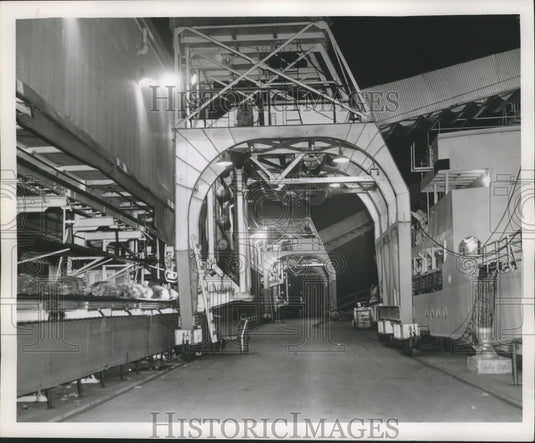 1963 Press Photo Mechanical Unloaders moving bananas from ship to dock