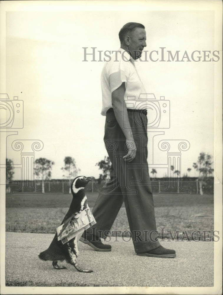 Load image into Gallery viewer, 1958 Press Photo Trainer Adolph Frohn with "Pengy," penguin, at Miami Seaquarium
