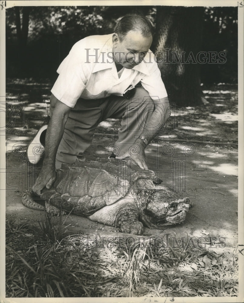 1953 Press Photo George Douglass, superintendent of Audubon Park, checks turtle.- Historic Images