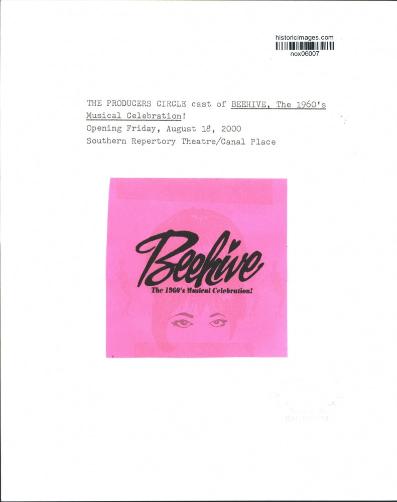 2000 Press Photo Cast of "Beehive, The 1960's Musical Celebration!" - nox06007