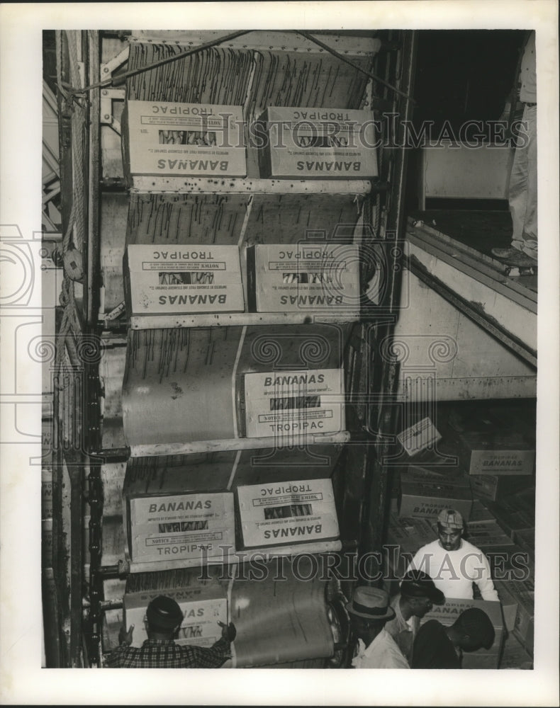 1965 Press Photo Workers Load Bananas at Desire St. From Ship - nox06039