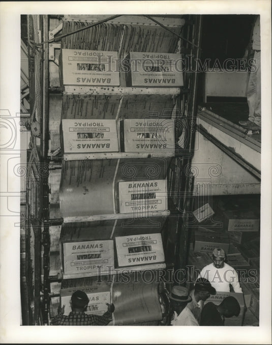 1965 Press Photo Workers Load Bananas at Desire St. From Ship - nox06039