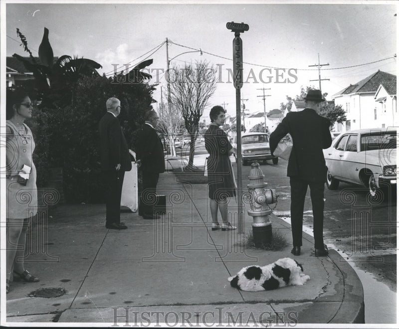 Load image into Gallery viewer, 1970 Press Photo Black and White dog waits at the corner daily for the Postman
