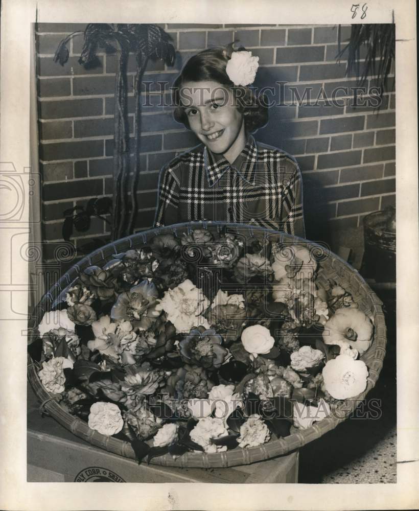 1953 Press Photo Kathleen Brown displays camellia varieties on exhibit- Historic Images