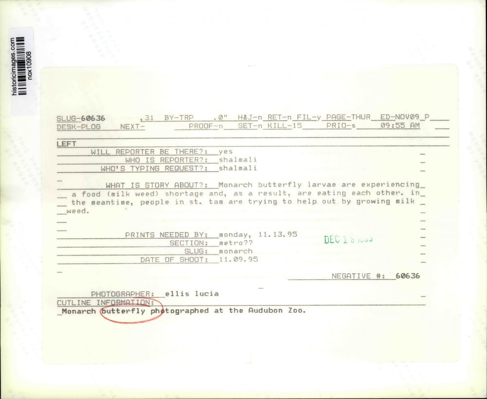 1995 Press Photo Monarch Butterfly at Audubon Zoo, New Orleans, Louisiana