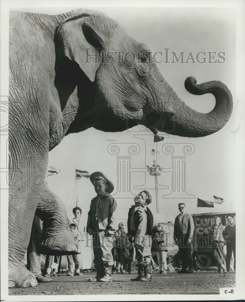 1976 Press Photo People Watch Clyde Beatty-Cole Brothers Circus Elephant
