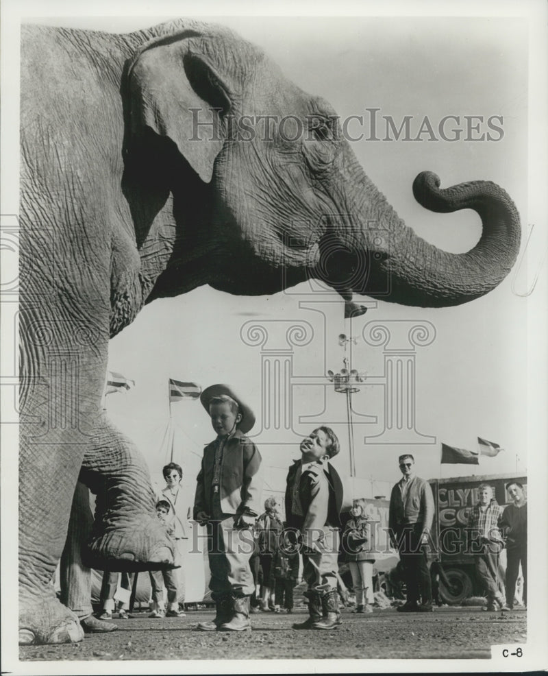 Load image into Gallery viewer, 1976 Press Photo People Watch Clyde Beatty-Cole Brothers Circus Elephant
