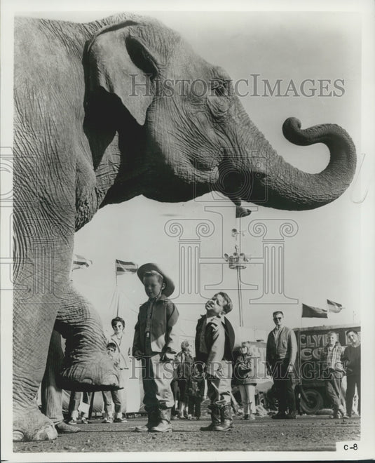1976 Press Photo People Watch Clyde Beatty-Cole Brothers Circus Elephant