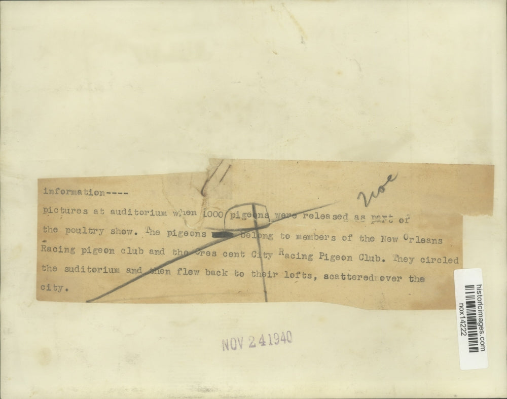 1940 Press Photo Pigeons being released at the Poultry Show in New Orleans