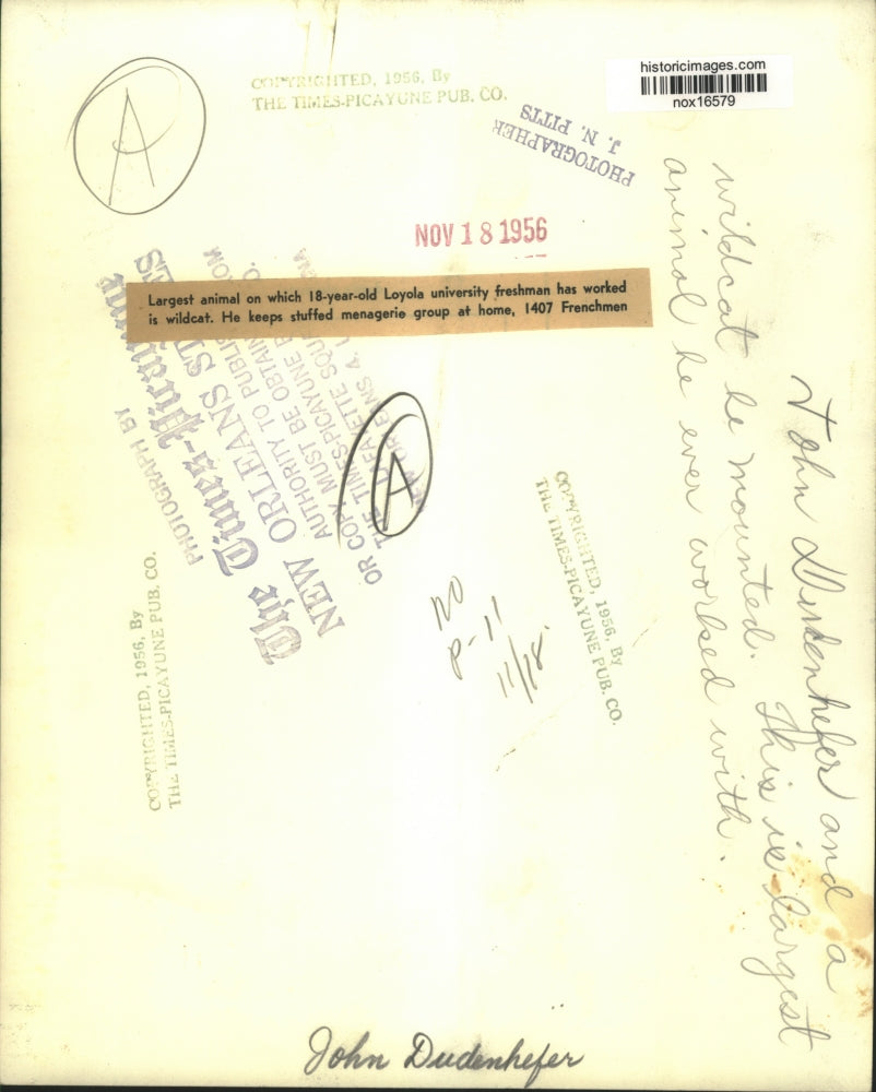 1956 Press Photo John Dudenhefer of Loyola University with Stuffed Wildcat