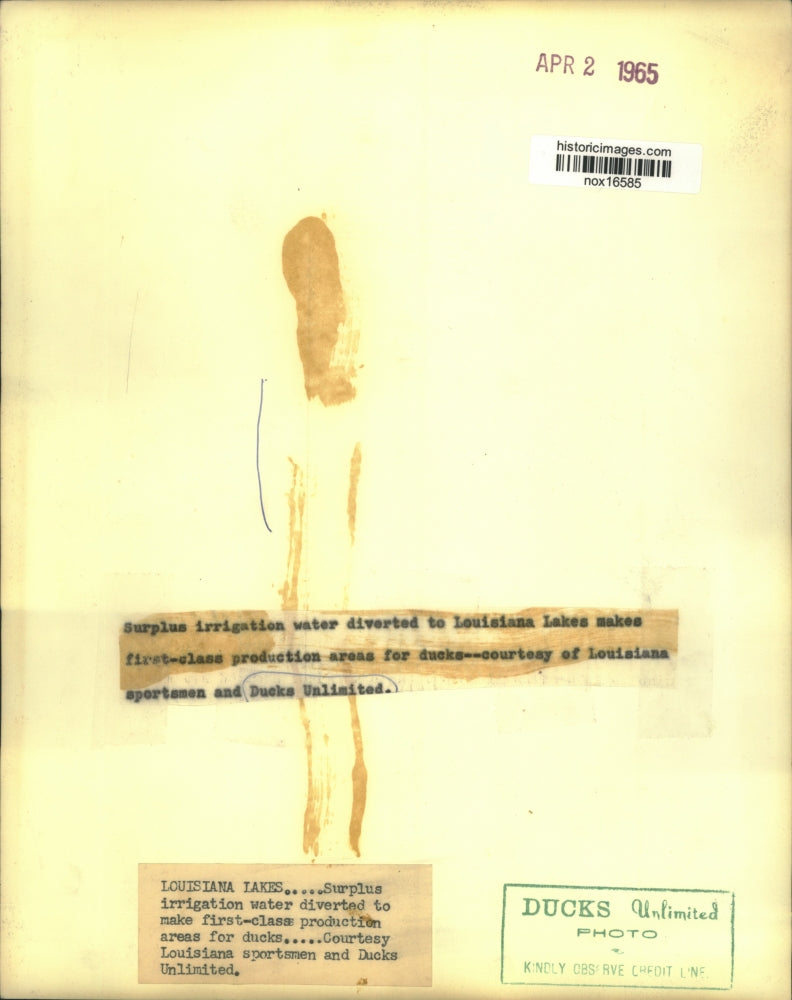 1965 Press Photo Surplus Irrigation Water Diverted to Louisiana Lakes for Ducks