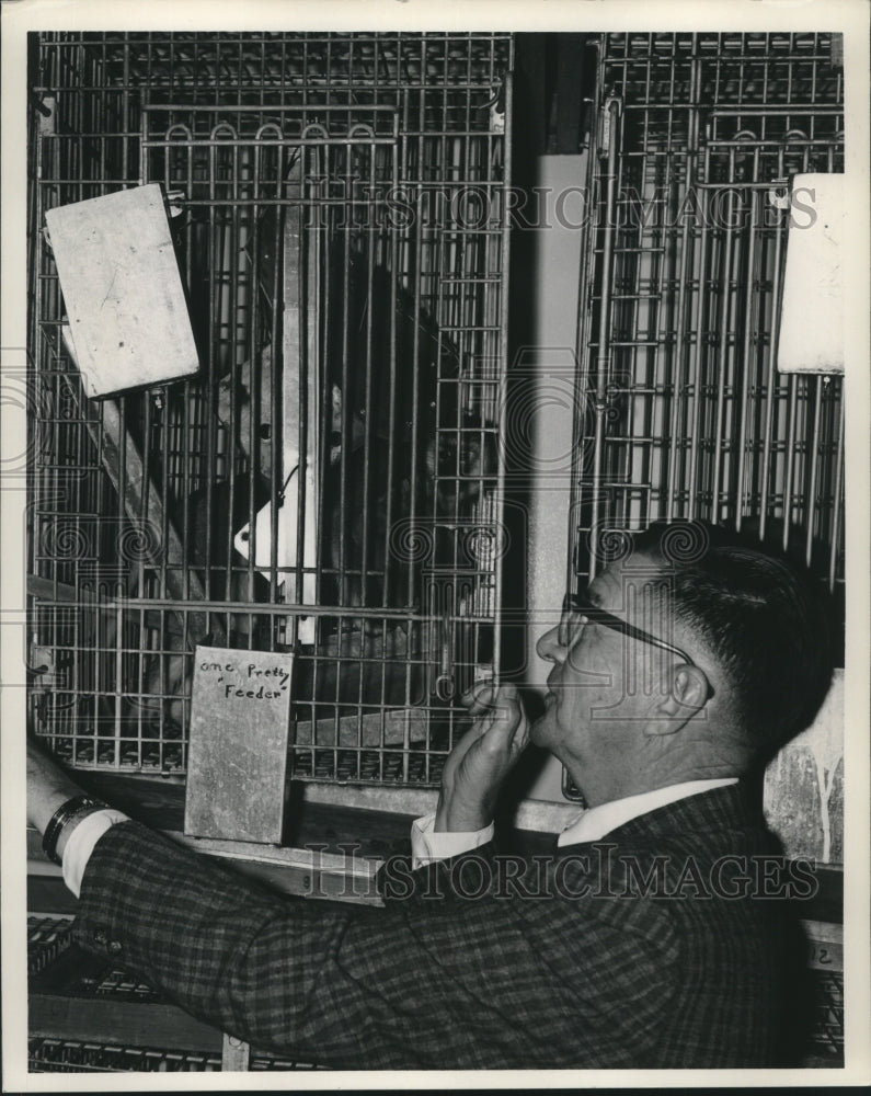 1966 Press Photo Delta Primate Center, Doctor Charles W. Hill, head of research