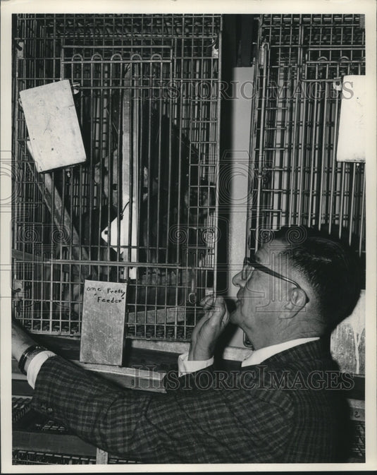 1966 Press Photo Delta Primate Center, Doctor Charles W. Hill, head of research