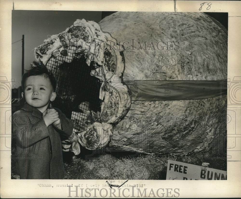 1951 Press Photo Little Clyde Messenger is fascinated by this window display