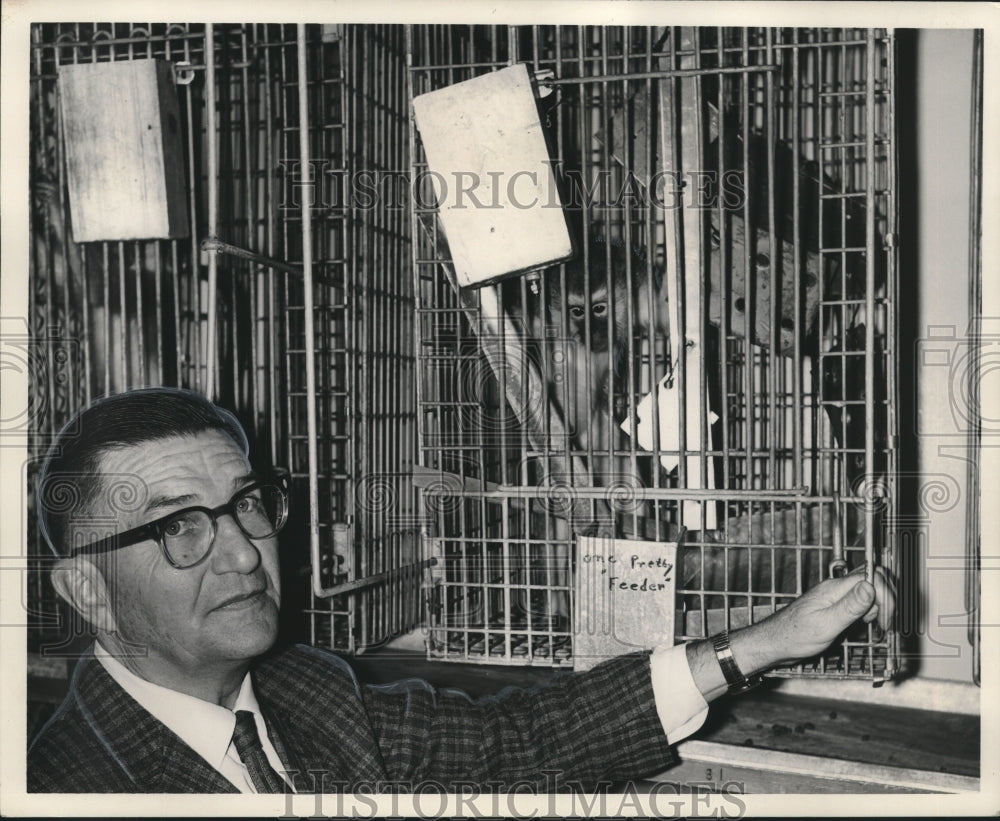1966 Press Photo Dr. Hill of Delta Regional Primate Center with African monkey
