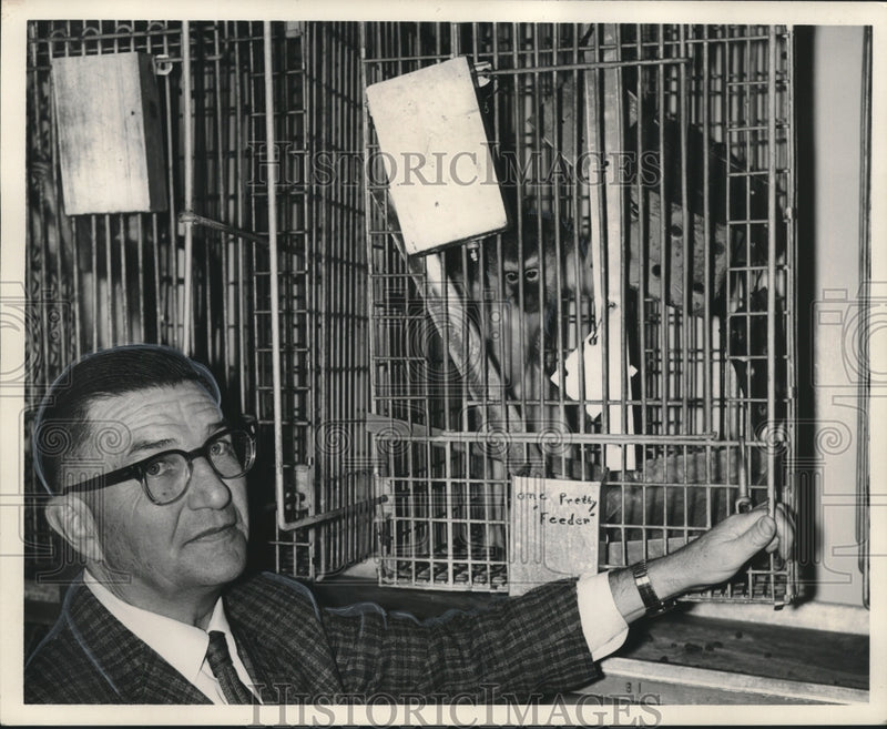Load image into Gallery viewer, 1966 Press Photo Dr. Hill of Delta Regional Primate Center with African monkey
