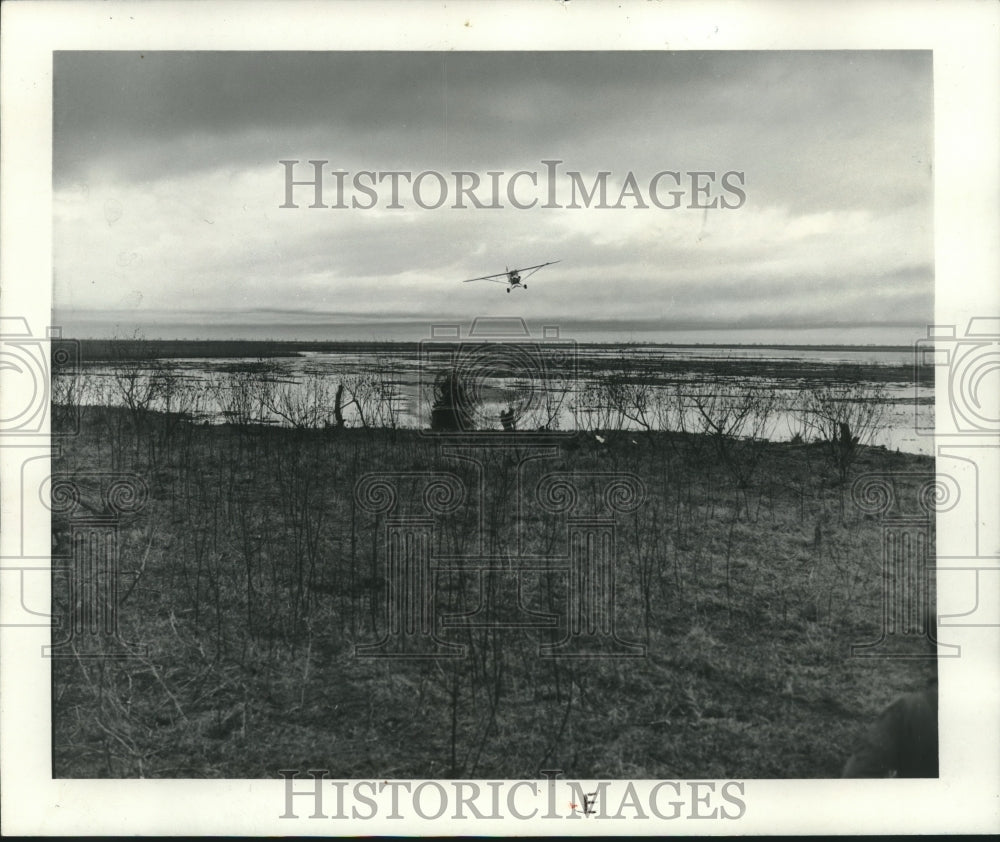 1967 Press Photo Game managers use airplanes to transplant deer. - nox19973
