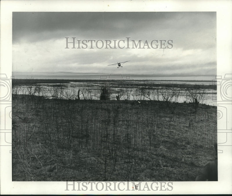 Load image into Gallery viewer, 1967 Press Photo Game managers use airplanes to transplant deer. - nox19973
