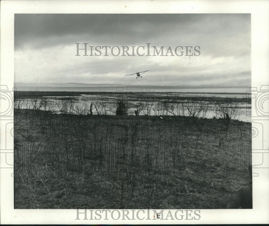 1967 Press Photo Game managers use airplanes to transplant deer. - nox19973