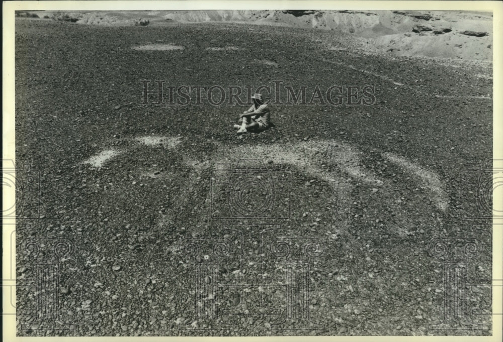 1983 Press Photo Unidentified archaeologist near horse scraped in CA desert.