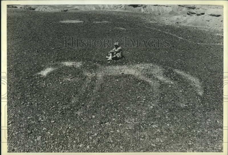 Load image into Gallery viewer, 1983 Press Photo Unidentified archaeologist near horse scraped in CA desert.
