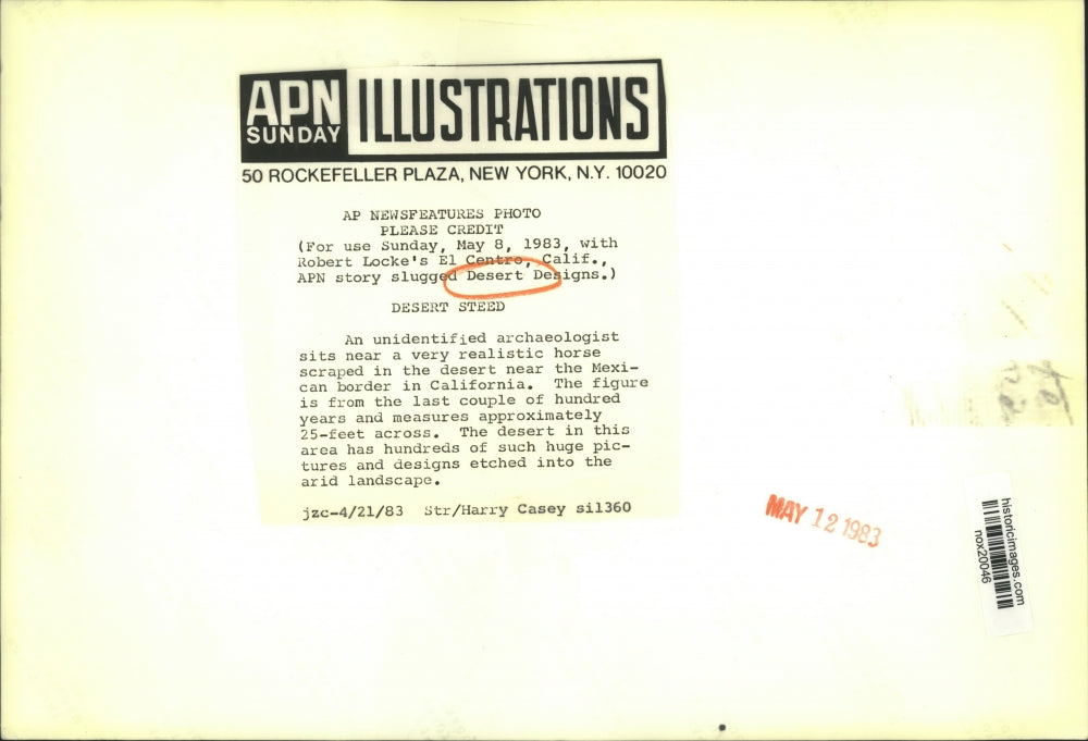 1983 Press Photo Unidentified archaeologist near horse scraped in CA desert.