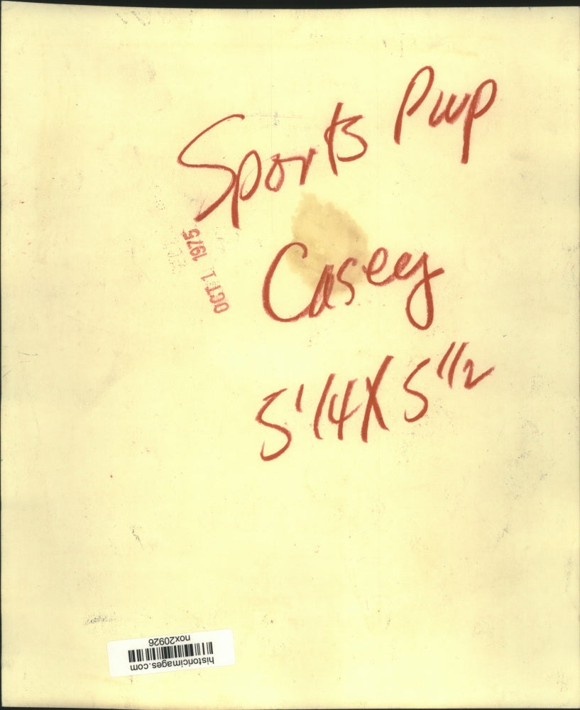 1939 Press Photo Casey Stengal manager of Boston Bees. - nox20926