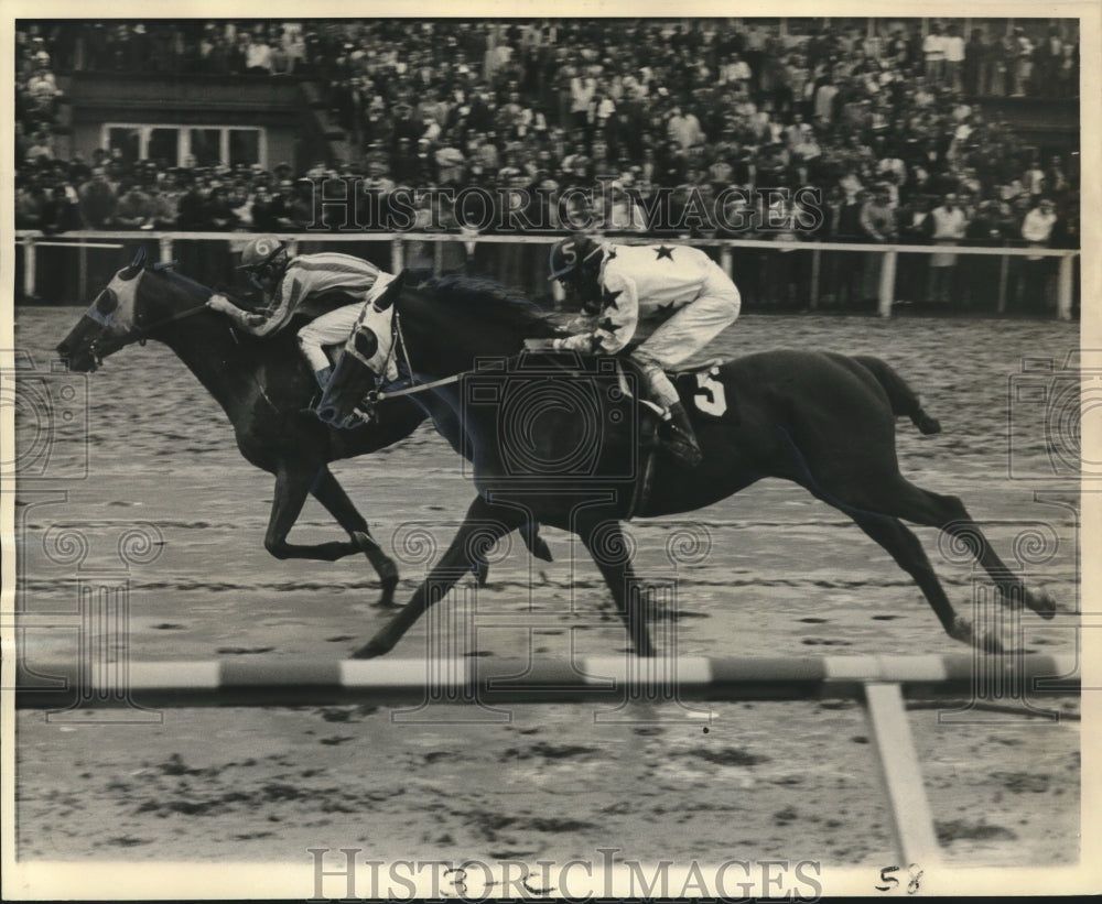 1973 Press Photo Holy Land wins Letellier Memoria Handicap at Fair Grounds.- Historic Images