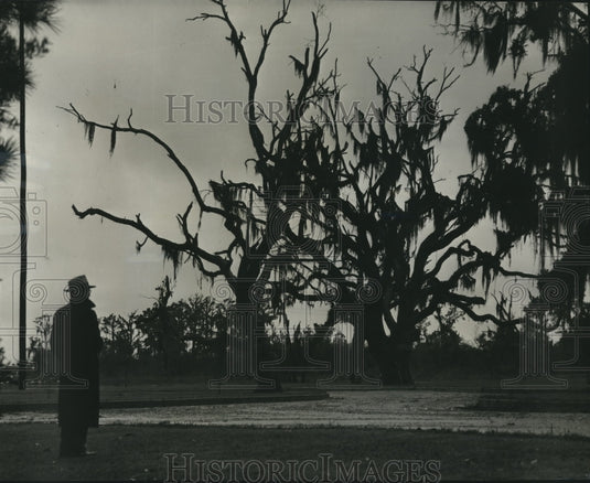 1947 Press Photo Fontainebleau Park on Lake Pontchartrain shores in wintertime