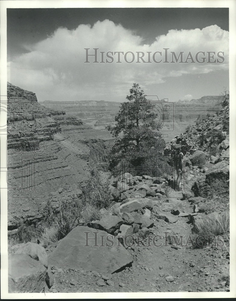 1974 Press Photo View of the Grand Canyon in Arizona - nox22468- Historic Images