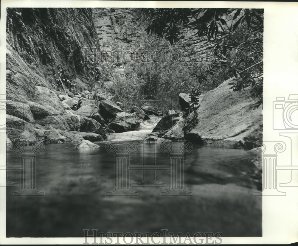 1974 Press Photo Grand Canyon, Arizona, view from the bottom on the river