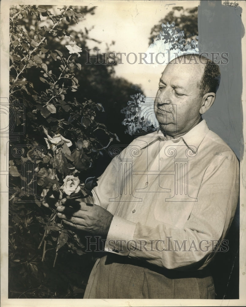 1954 Press Photo New Orleans Rose Society President Max Good in Garden
