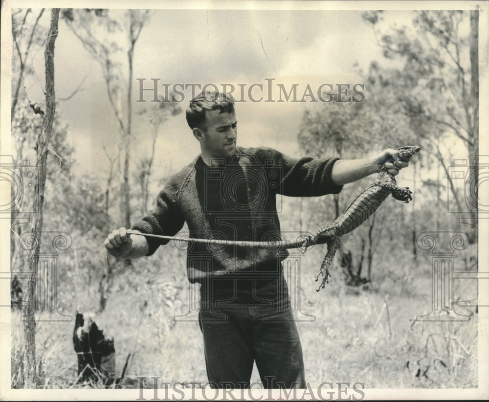 1970 Press Photo Man holding up goannas, Australia - nox23982