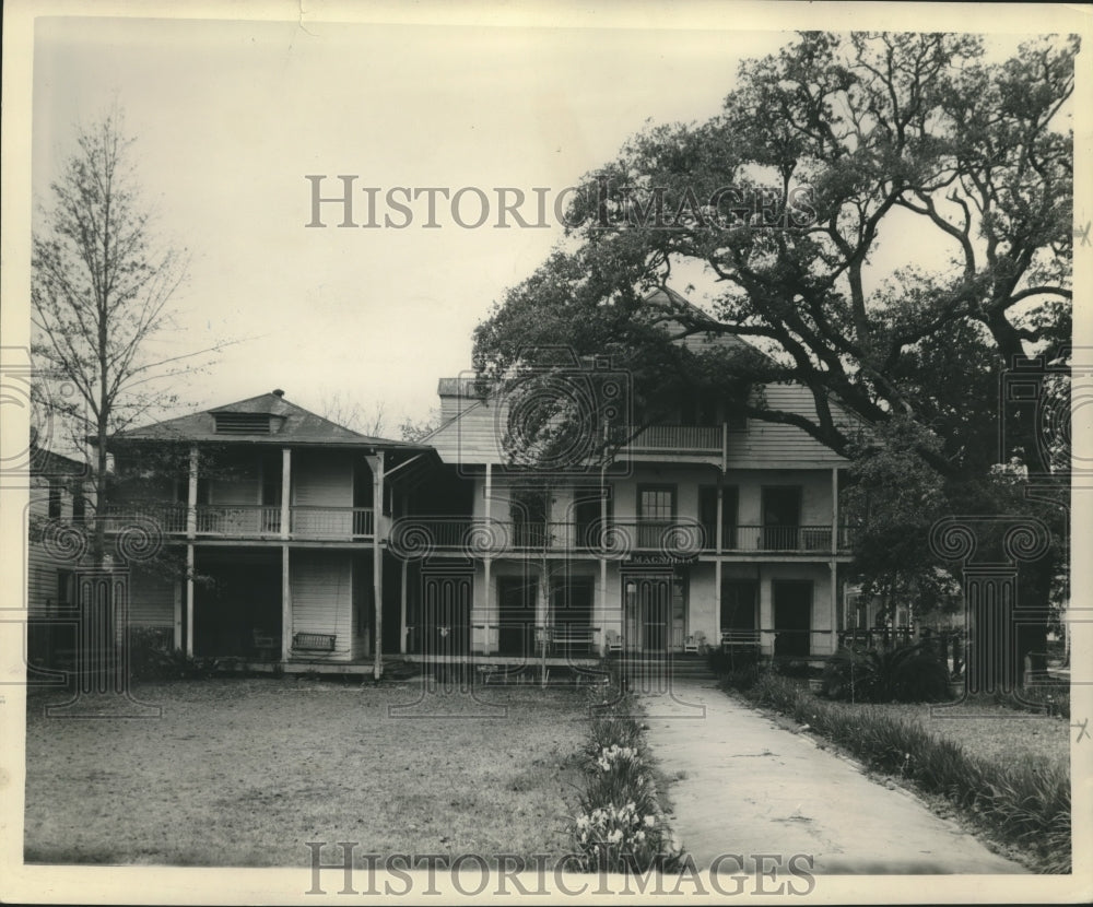 1947 Press Photo 100 year old Magnolia tree in front of home in New Orleans- Historic Images