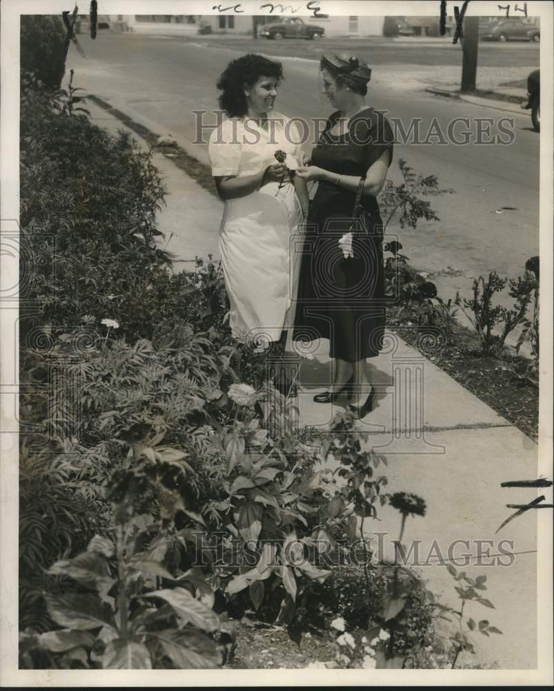 1954 Press Photo Better Gardens Club Sidewalk Contest Winner, New Orleans