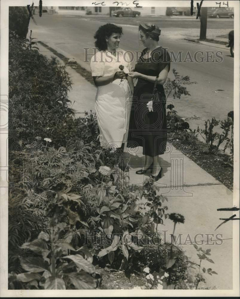 Load image into Gallery viewer, 1954 Press Photo Better Gardens Club Sidewalk Contest Winner, New Orleans
